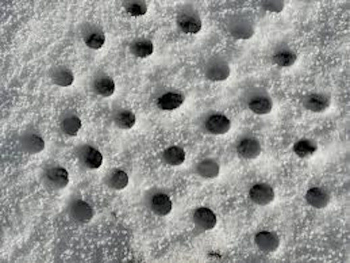 É o medo de tripofobia